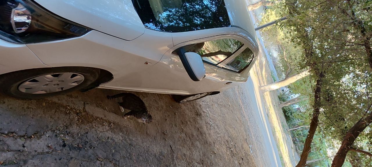 Cobalt 2018 barter matiz doplata kelishamiz ya bolmasa avtokreditni