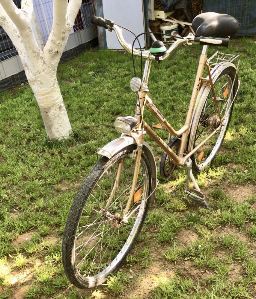 Bicicleta adulti