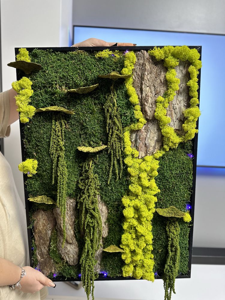 Tablou licheni 50x70