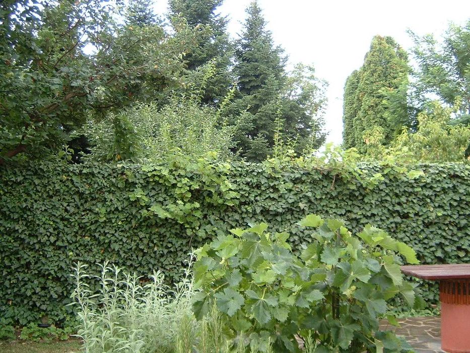 Vand casa parter in Otopeni - cartier Ferme