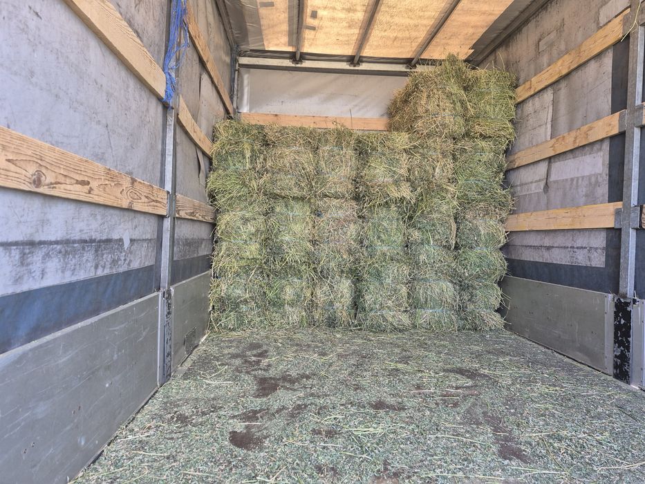 Vand baloti de Lucerna fan productie 2025 Transport la domicilu