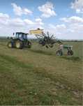 Vand grebla krone