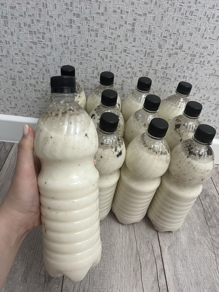 Свежий Кымыз кумыс