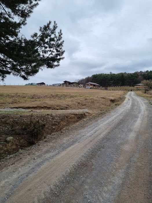 Teren 2000mp in Ozun, Covasna