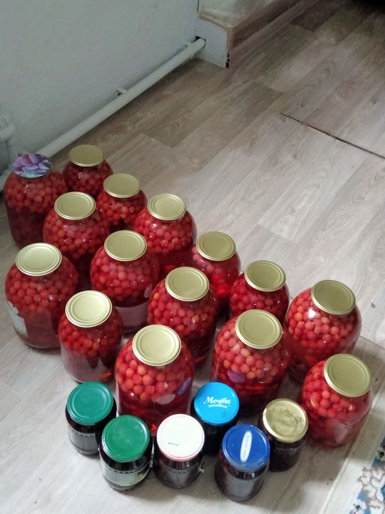 Вишня, черешня садовая дачная ..