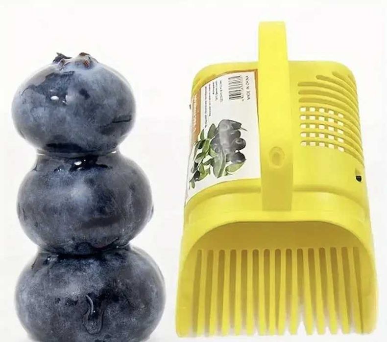 Берачка за боровинки