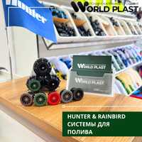 Hunter, Rainbird