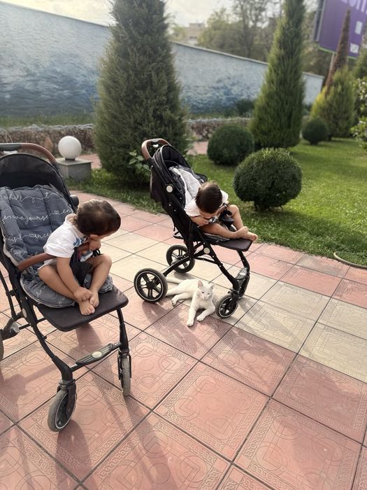 Йигма    коляска