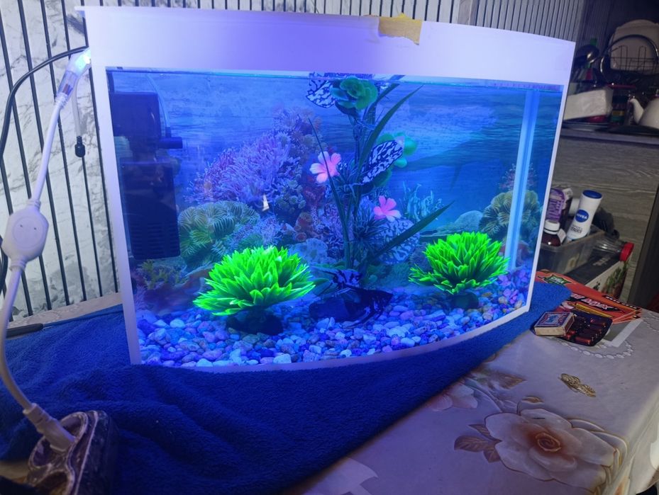 Akvariyum valiqlari