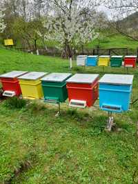 Famili de albine