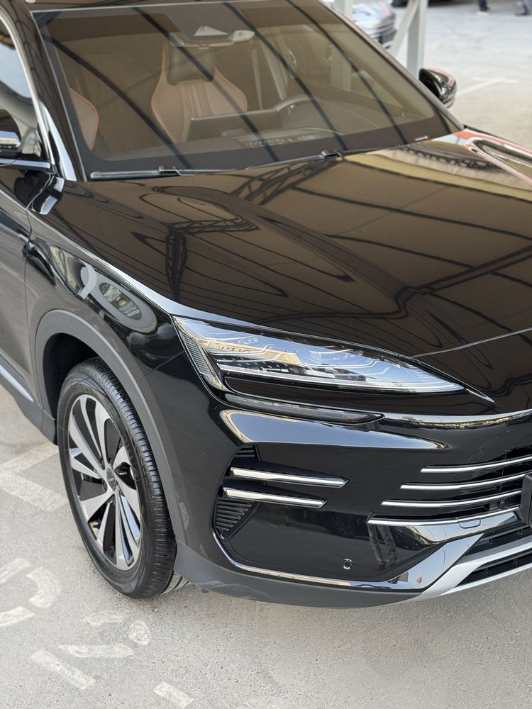 Byd champion hybrid 2025
