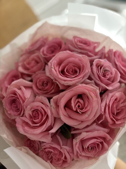 Свежие красивые цветы