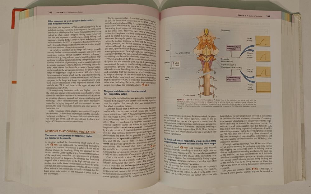 Boron-Fiziologie

EMILE L. B2 BOULPAEP

Medical Physiology
