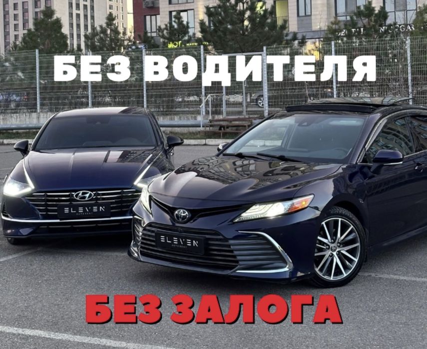 Аренда авто без водителя и без залога
