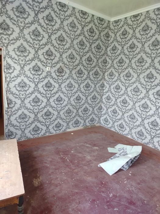 Sharq kochasi zonani yonida