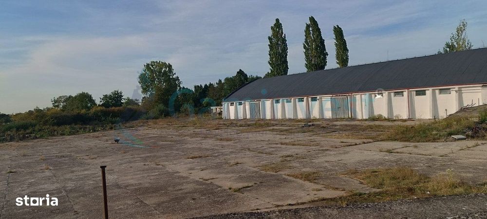 Gaminvest Hala de inchiriat aflata in zona Vadu Crisului, A1947