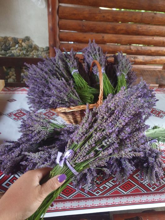 Buchete de lavandă proaspete Lavandino