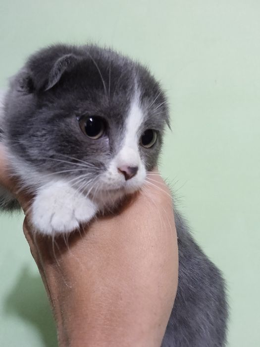 Премиум класс, элитный клубный .