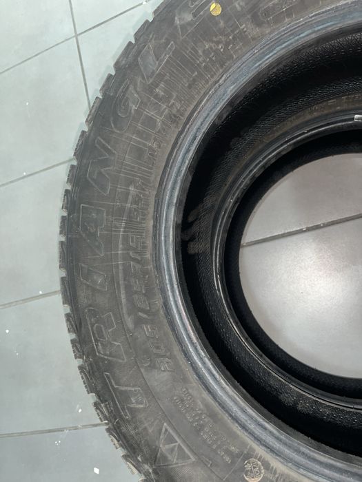 Зимние шины Triangle