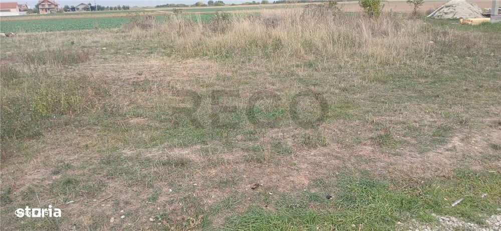 RECO Teren intravilan in Tarian