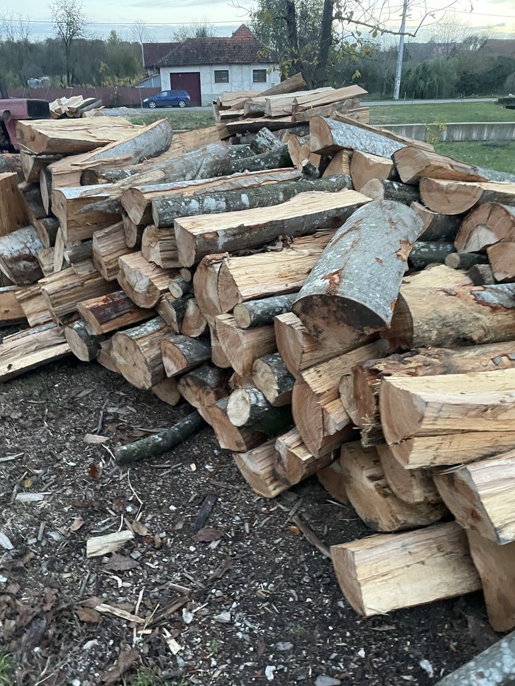 Vindem lemne de foc esențe tari [FAG,GORUN,CARPEN,CER]