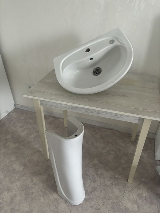 Тюльпан раковина