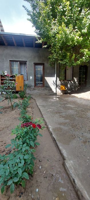 Yunusobod Bodomzor Kvartira