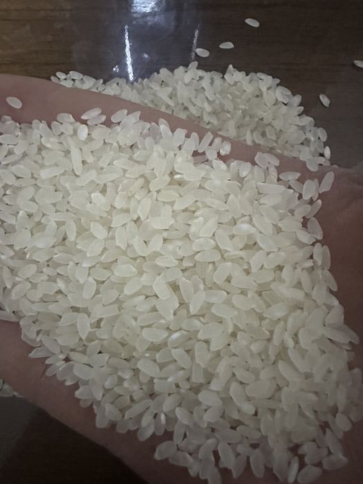 Guliston lideri guruchi