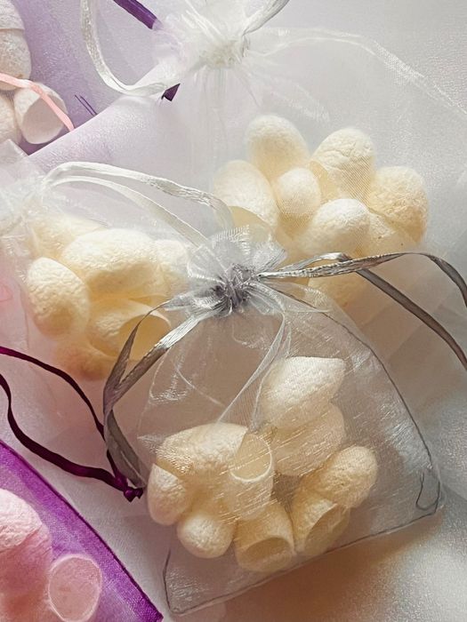 Копринени пашкули – естествена грижа и вдъхновение от природата