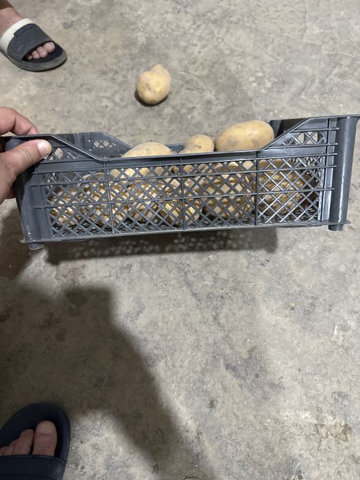 Саватча полиз экинлари ва бошка нарсалар учун ишлатса булади