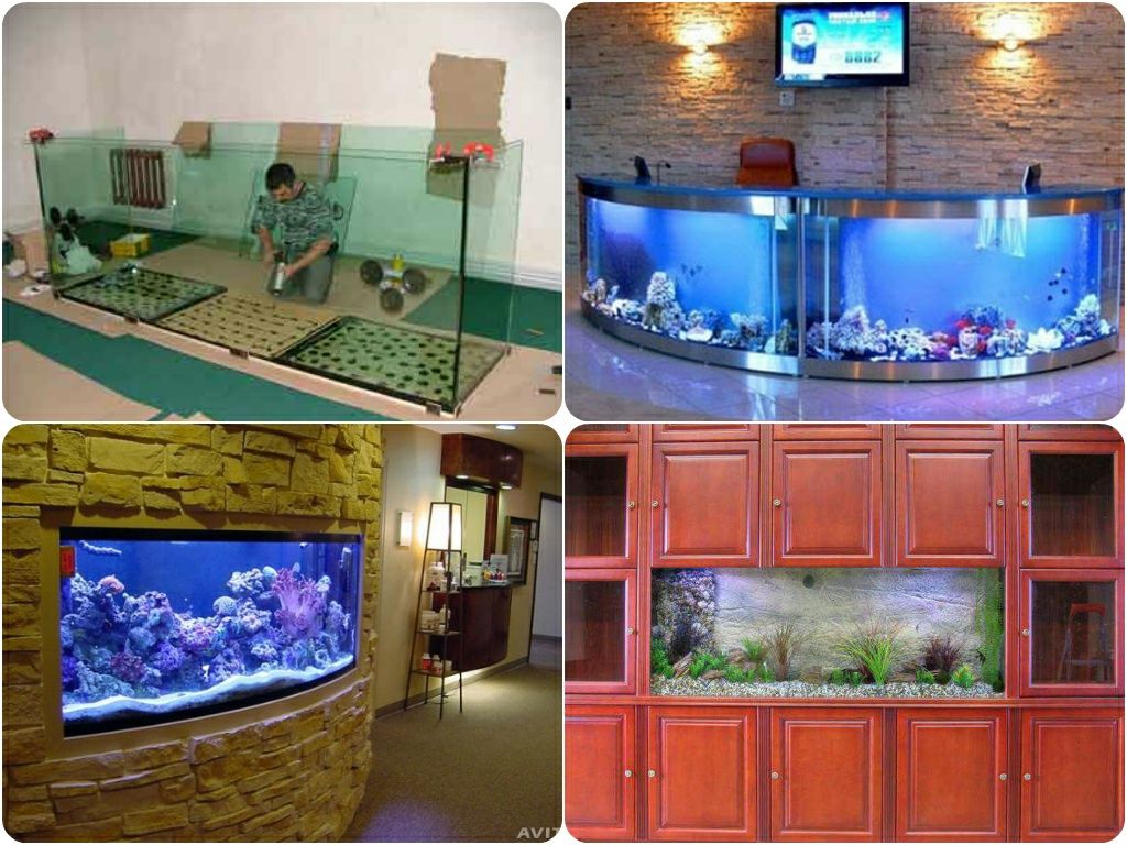 Ремонт и обслуживание аквариумов профессионалами