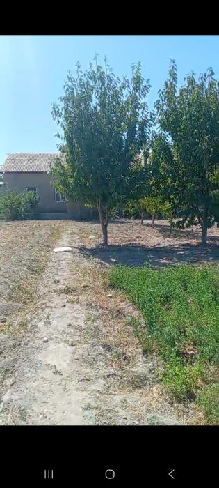 Samarqand vil ishtixon tumanida 30 sotixli hovli sotiladi 30000 $