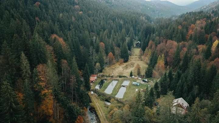 Pastravarie Lunca Bradului