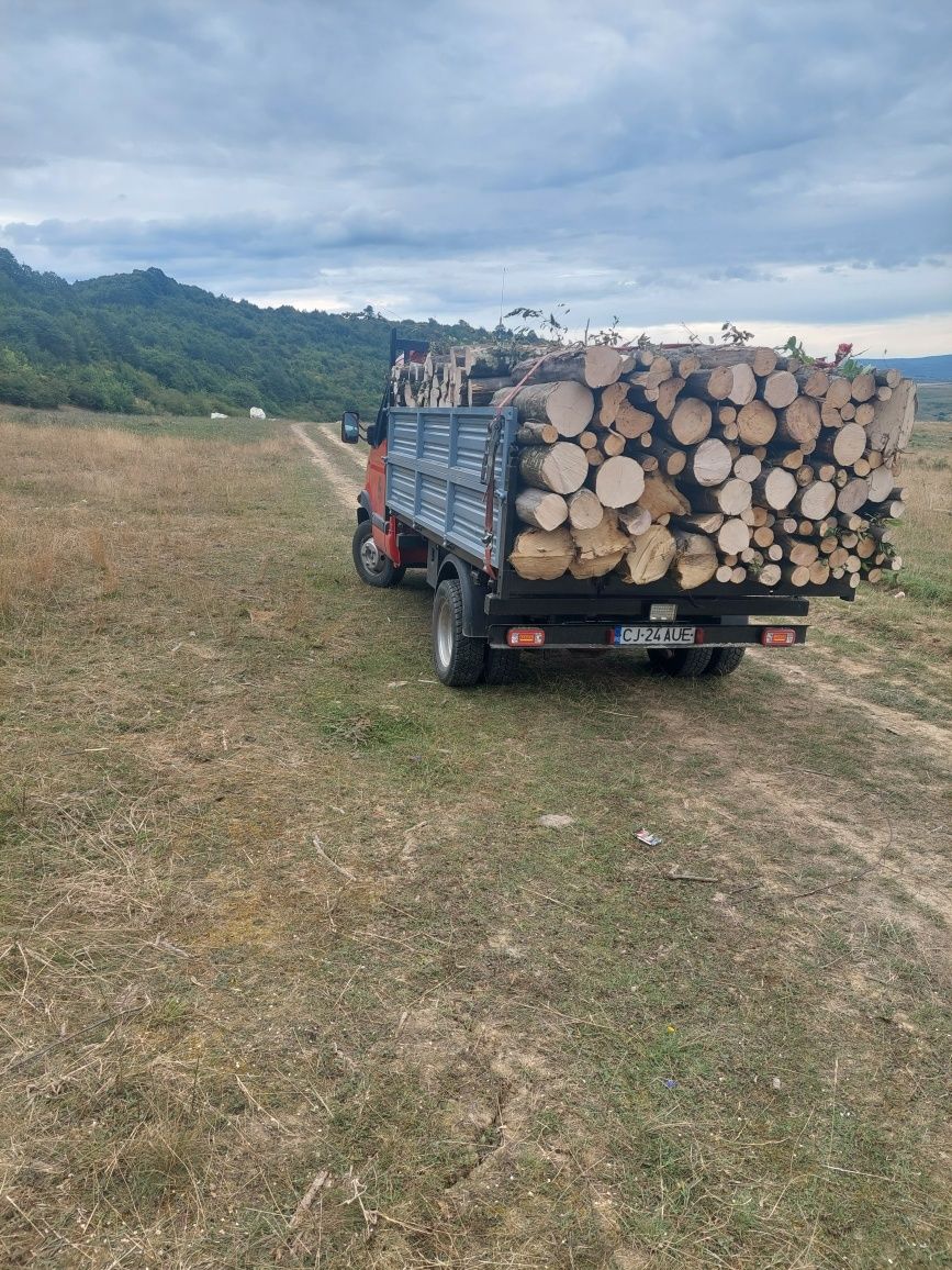 Lemne pentru foc iarna