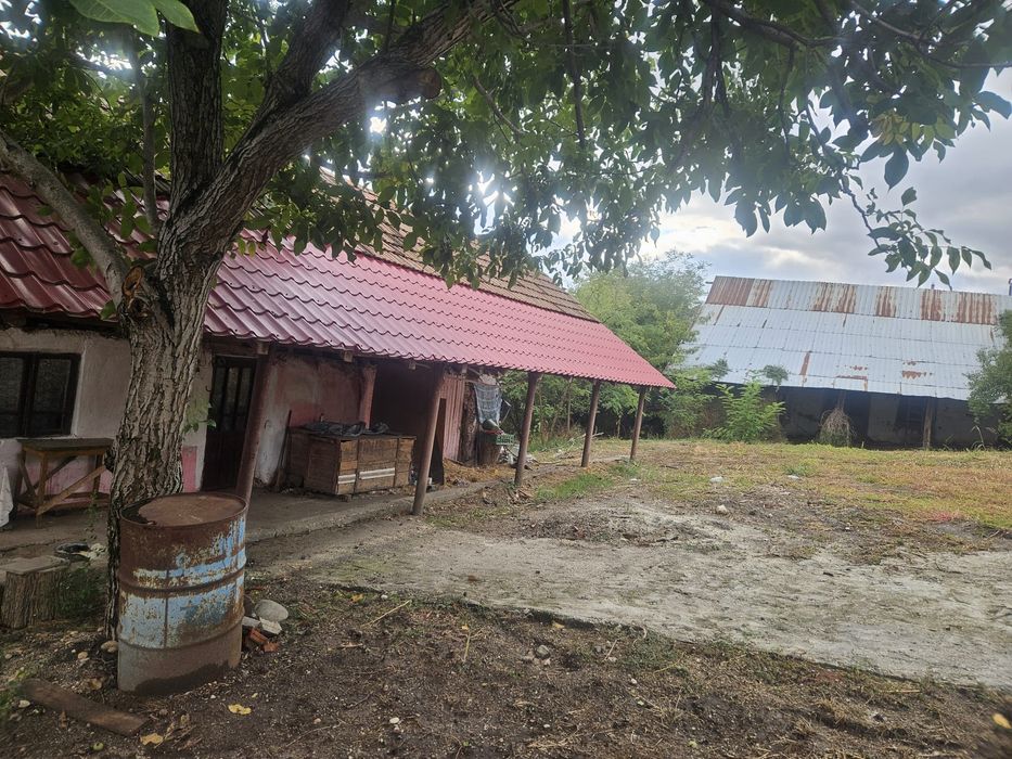 Vand casa Palilula, comuna Bucovat