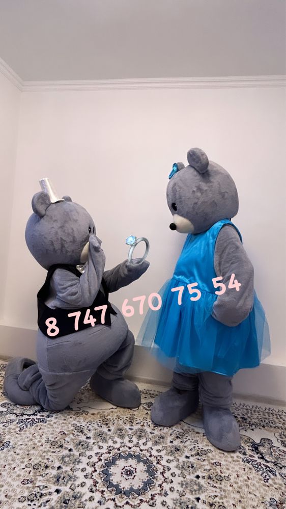 Прокат костюм ТЕДДИ / МИШКА