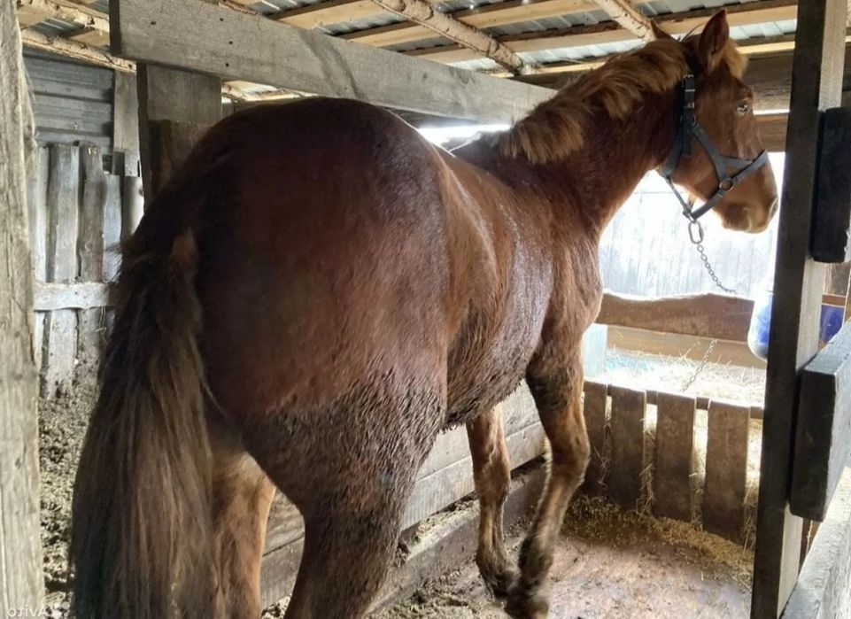 Суббота соямын 2 жілік бос