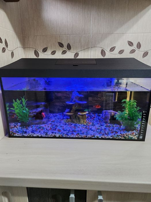 Acvariu cu pești Full Echipat
