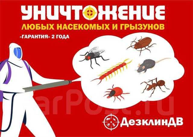Дезинфекция клопов и тараканов уничтожение клопов dezinfeksiya klapa