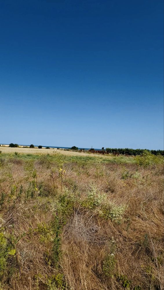 Teren intravilan TUZLA – 489 mp, la mare | proprietar | 35.000€