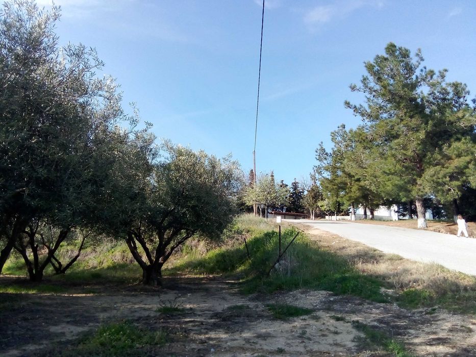 Парцел 790; кв.м. в с. Офринио, Панорама море-115000 евро.