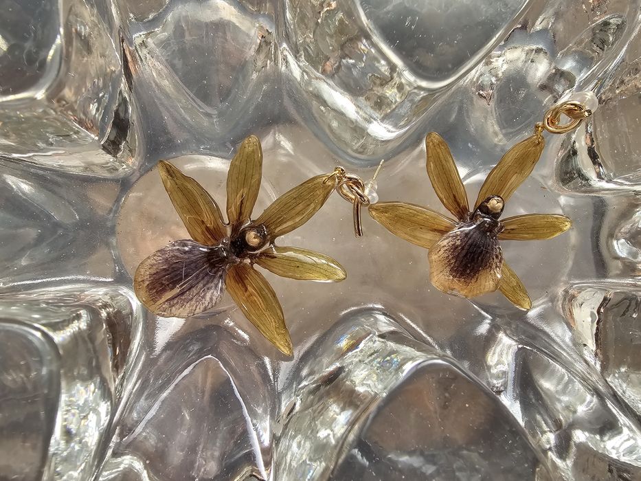 Обеци с естествен цвят на орхидея Камбрия.

Естествен цвят на орхидея