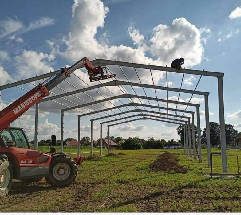 Vand hala pe structura metalica