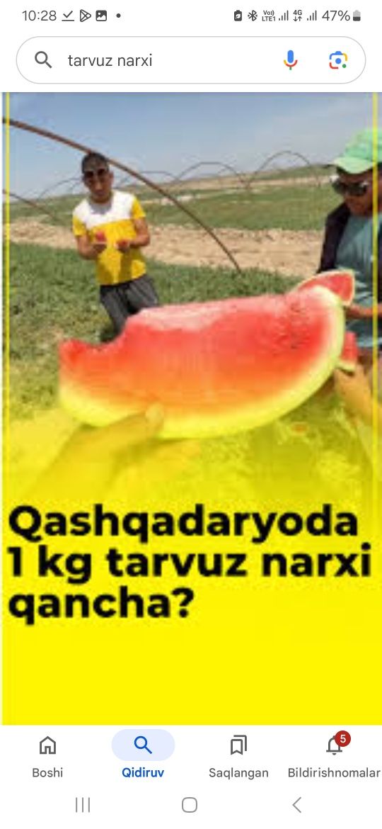 Tarvuz qovin pamdor bodiring dexochik mahsulotlari bor