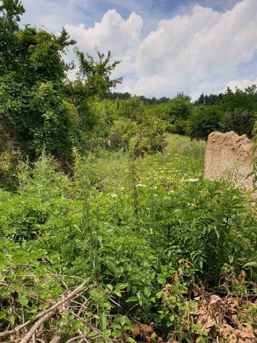 Продава се Парцел в с. Зараево, Област Търговище - 2840 кв.м за 3 €/кв.м - Снимка #3