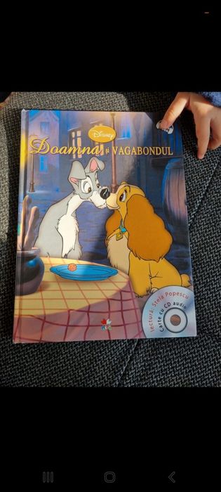 Doamna si vagabondul