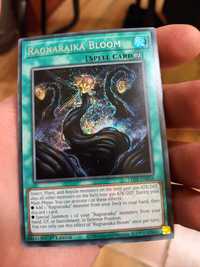 Ragnaraika bloom (LEDE-EN058)