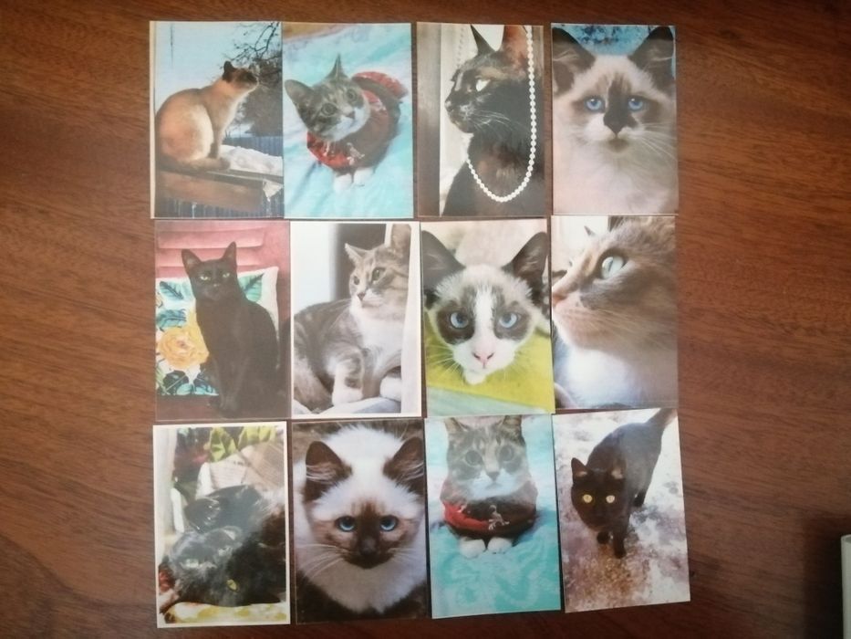 Marturii de Nunta/Botez