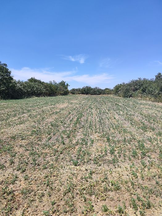 Продава се Къща в с. Калоян, Област Варна - 62 кв.м за 871 €/кв.м - Снимка #8