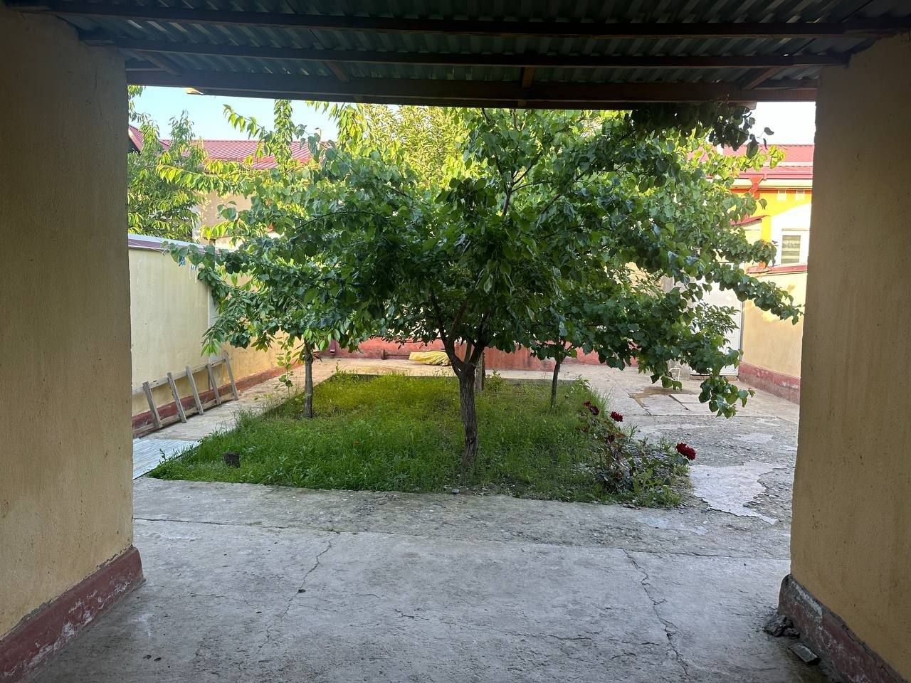 Саёхатда Котеж сотилади